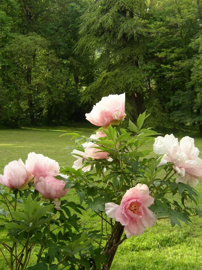 Готель Le Domaine De Pomone Woinville Екстер'єр фото